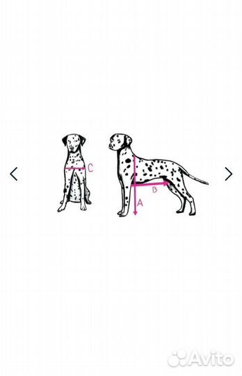 Инвалидная коляска для собак