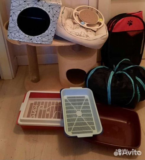 Домик, когтеточка,переноска, лежак,миски, туалеты