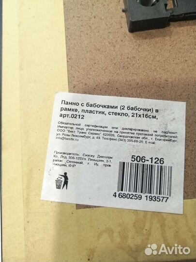 Бабочки настоящие в рамке панно