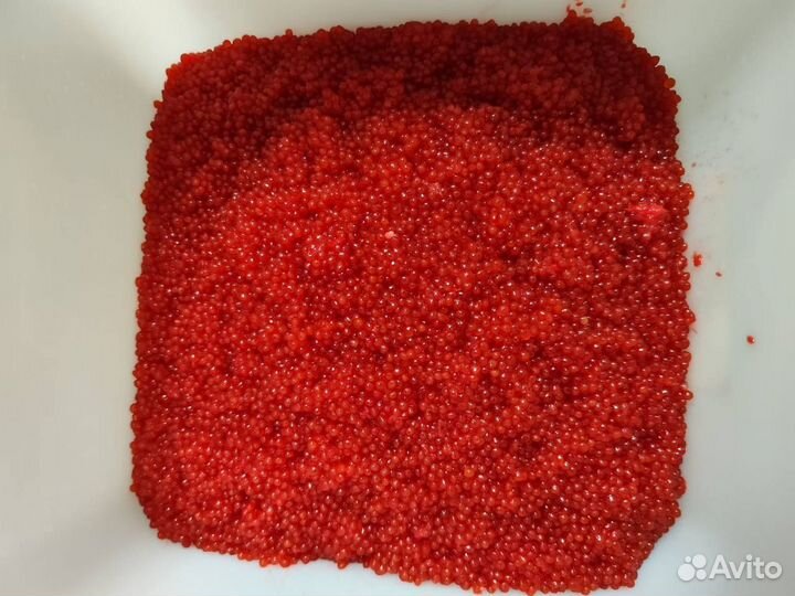 Камчатская красная икра оптом