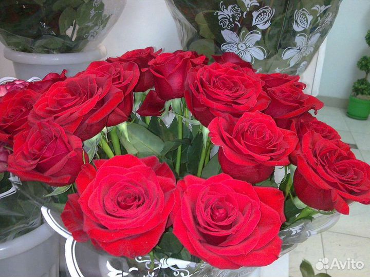 Цветы розы букет