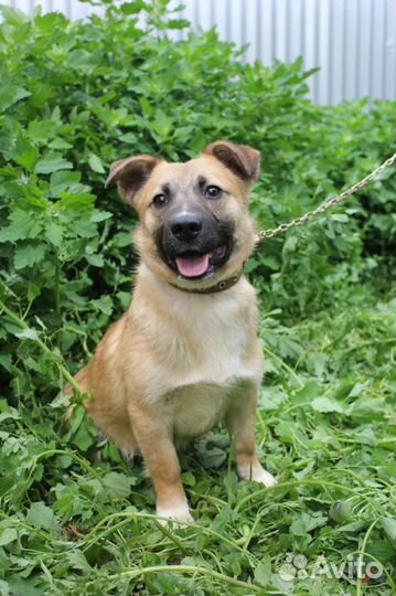 Миниатюрный пацан