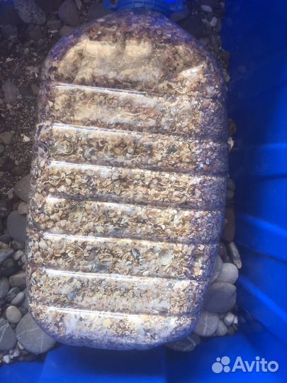 Грунт для аквариума