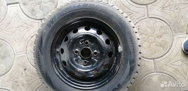 Nexen Winguard Ice 175/70 R13