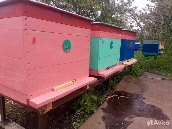 Мёд за литр 700