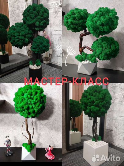 Мастер-классы со мхом все материалы включены