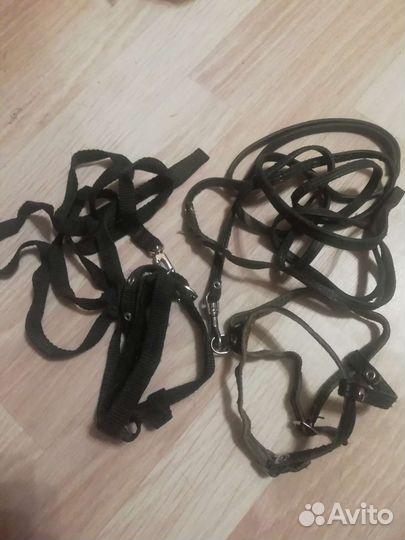 Шлейки маленькие