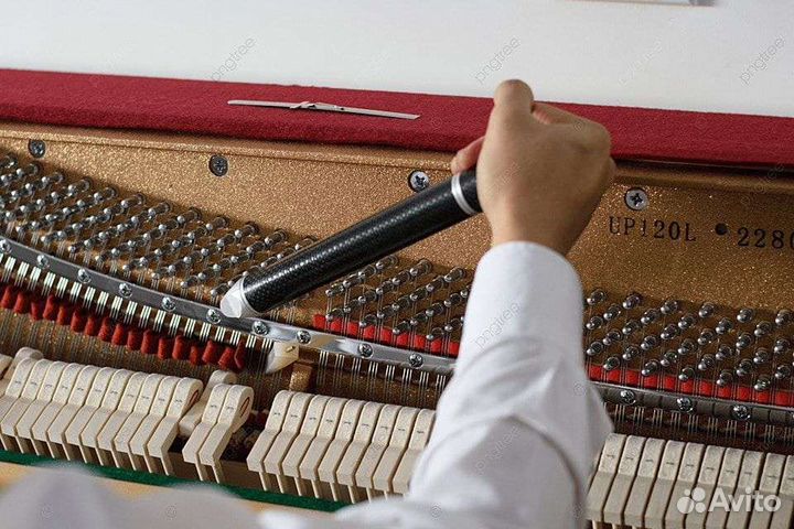 Настройка/мелкий ремонт пианино