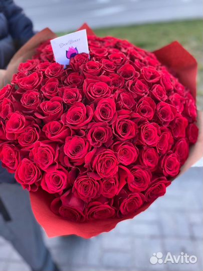 Розы красные премиум эквадор 60см