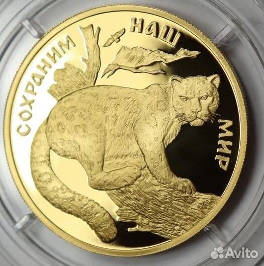 Сохраним наш мир Снежный барс