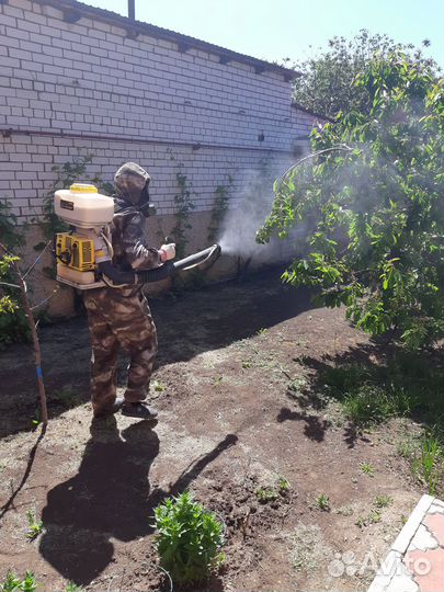 Дезинфекция