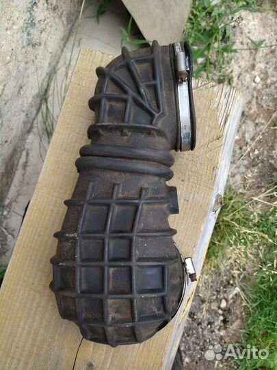 На ауди 100, черепаха