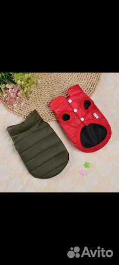 Куртка для собаки