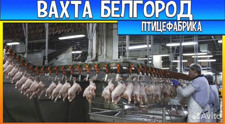 Вахта от 15 смен Белгород Питание Упаковщик-ца