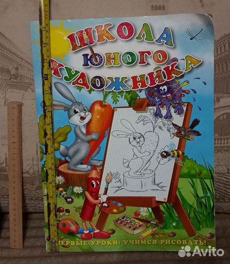Первые уроки 