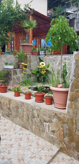 Комната 12 м², 1/3 эт.