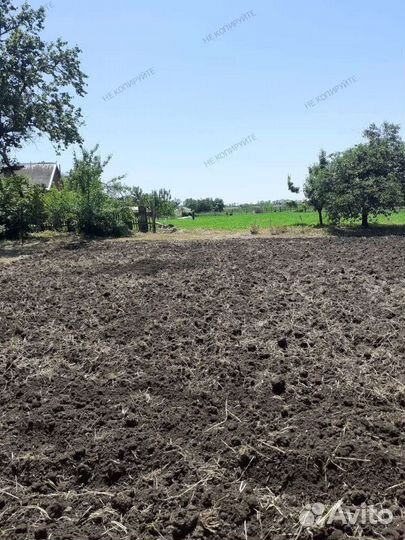 Спил деревьев, покос травы, вспашка мотоблоком