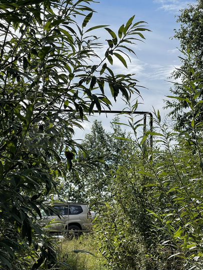 Участок 6 сот. (ИЖС)