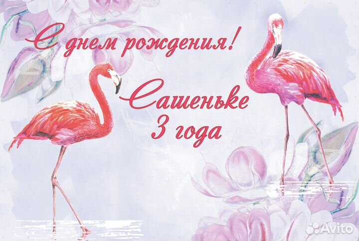 Вывески, таблички, режимники; макеты