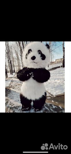 Ростовая кукла панда кунфу белый мишка