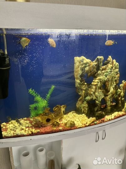 Аквариум с тумбой