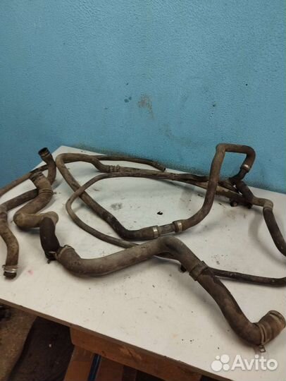 Шланги охлаждения ford focus 2