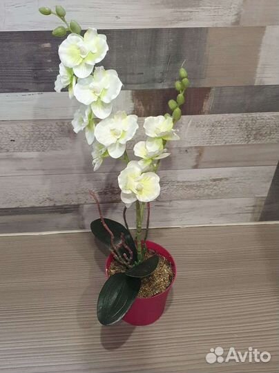 Орхидея фаленопсис, искусственная орхидея, орхидея