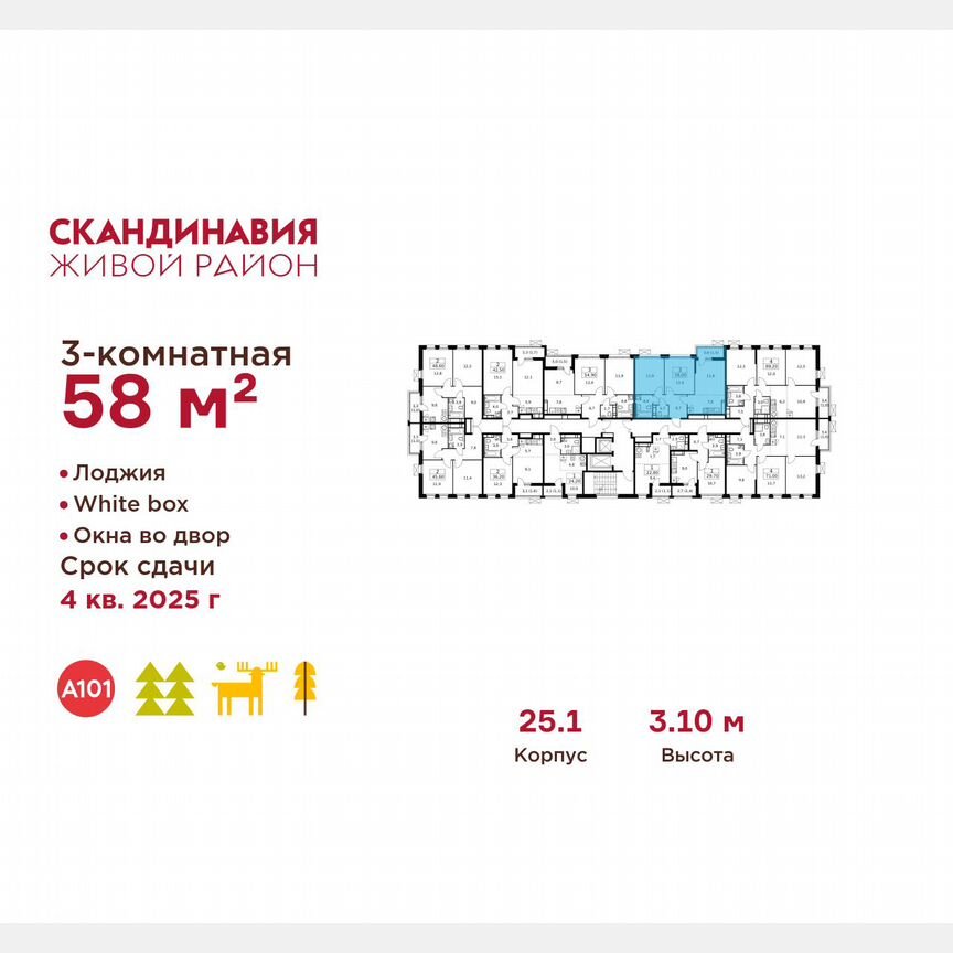 3-к. квартира, 58 м², 13/14 эт.