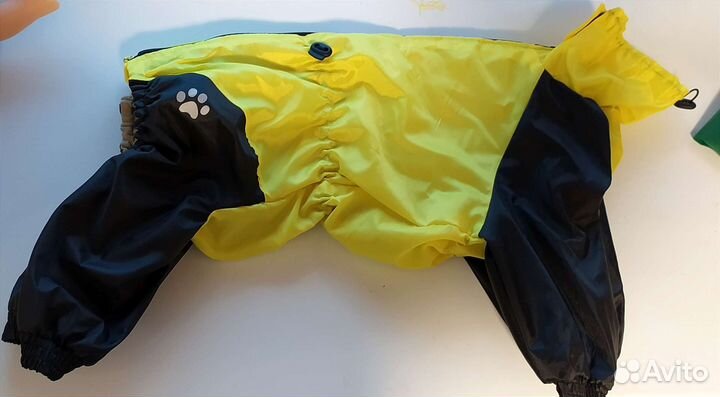 Шью для маленьких собачек