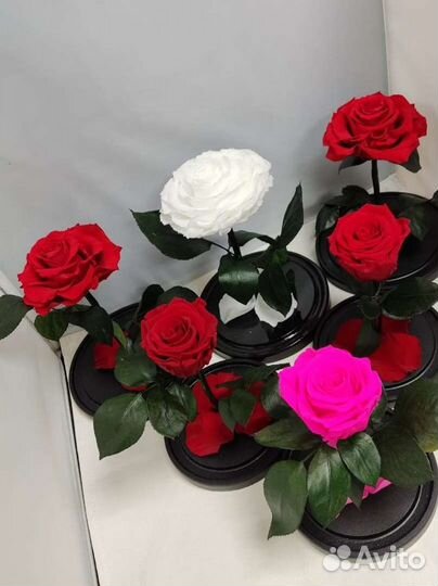 Роза в колбе оптом