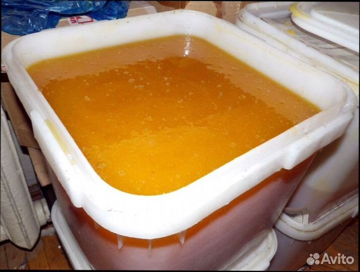 Донниковый Мед оптом