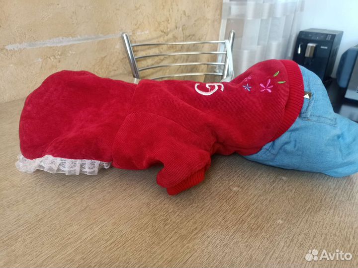 Костюм зимний для собак