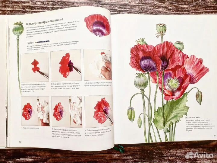 Шоуэлл Билли. Ботанические портреты