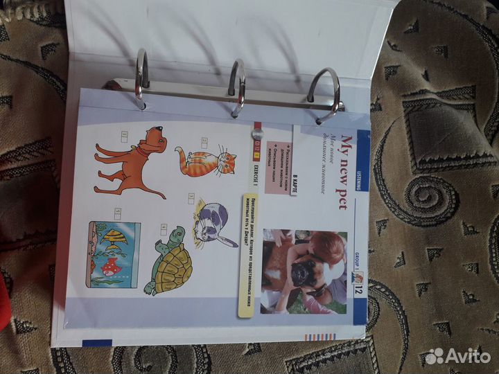 Курс английского языка Speak english