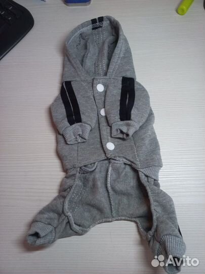 Одежда для маленьких собак