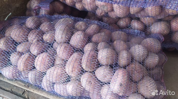 Доставка свежих овощей