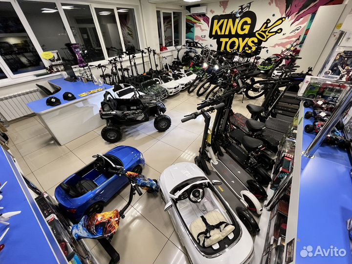 Электроскутер SkyBoard Trike BR40 - 3000 Pro Fast