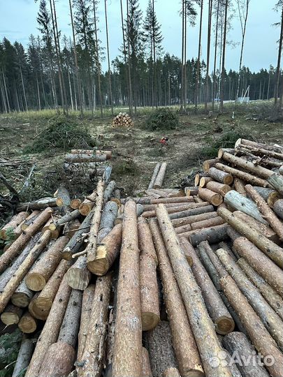 Дрова бесплатно самовывоз
