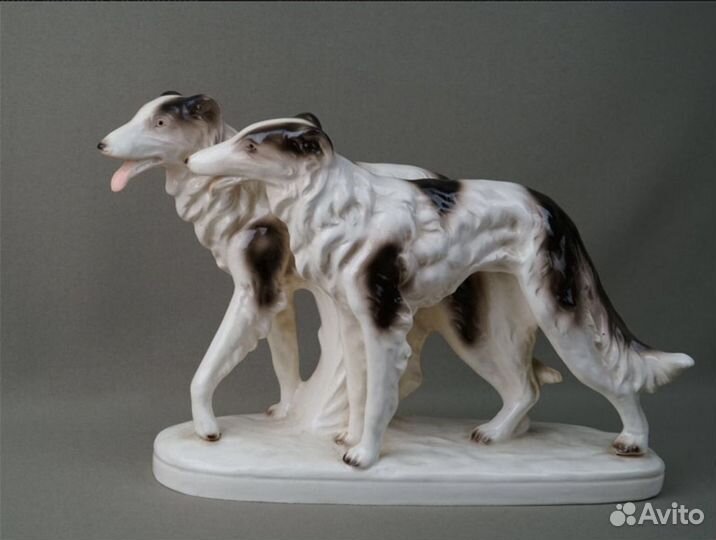 Шикарные большие русские борзые гончие легавые