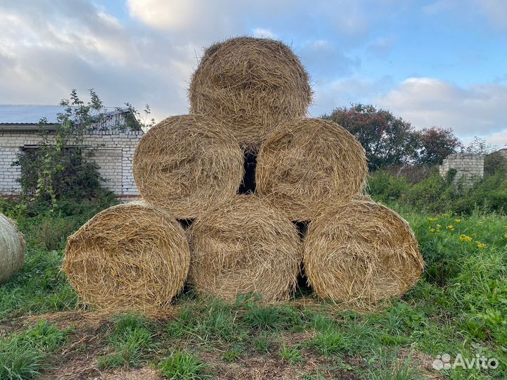 Солома в тюках