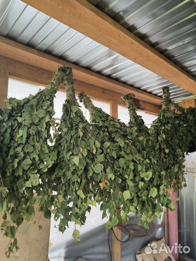 Березовые веники