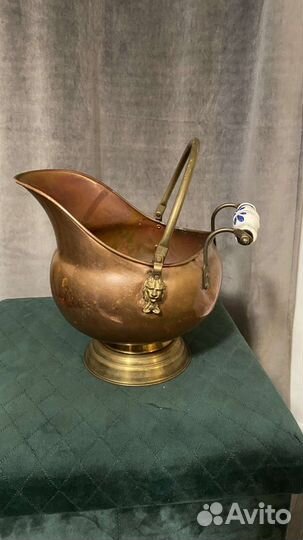 Зольник медный