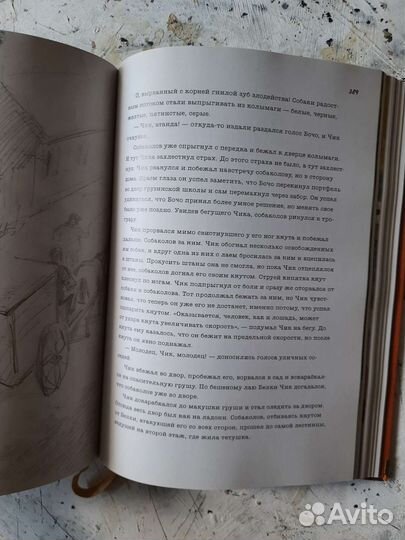 Фазиль Искандер 