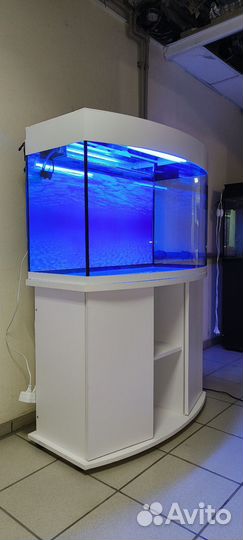 Аквариум 200 свет биофильтр фон подставка
