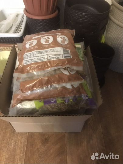 Цветочные горшки большое количество