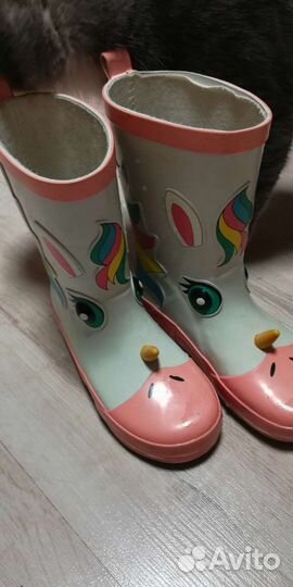 Сапоги