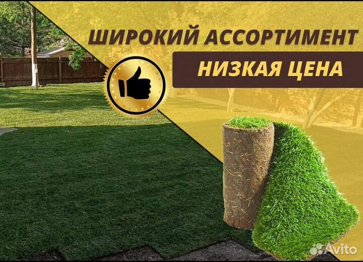 Рулонный газон доставка спортивный