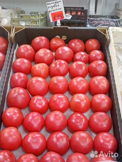 Овощи фрукты