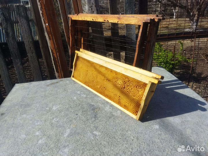 Улей для пчел