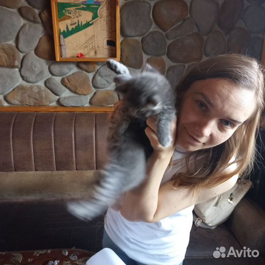 Очаровашка Шуша